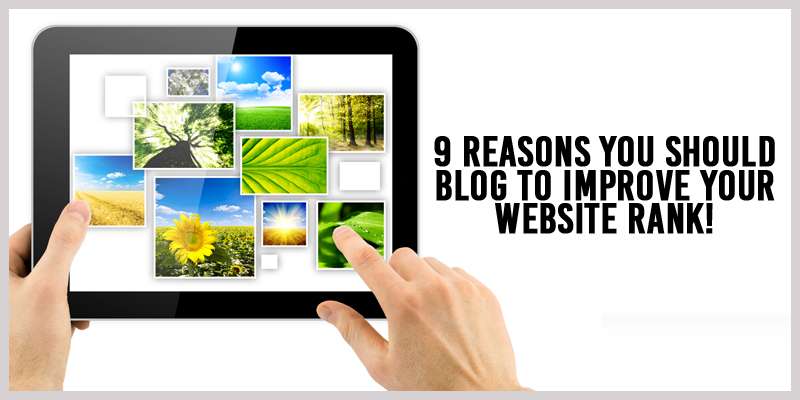 Arnima-9-reasons-you-should-Blog-to-improve-your-website-rank1A