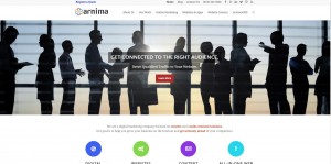 Arnima Design Redesigned Website from 2016
